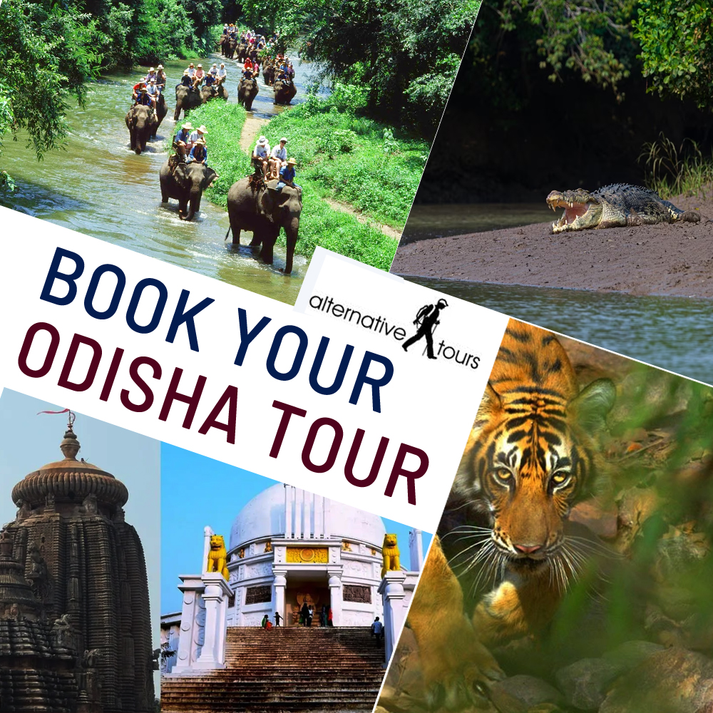 Agency for Odisha tour