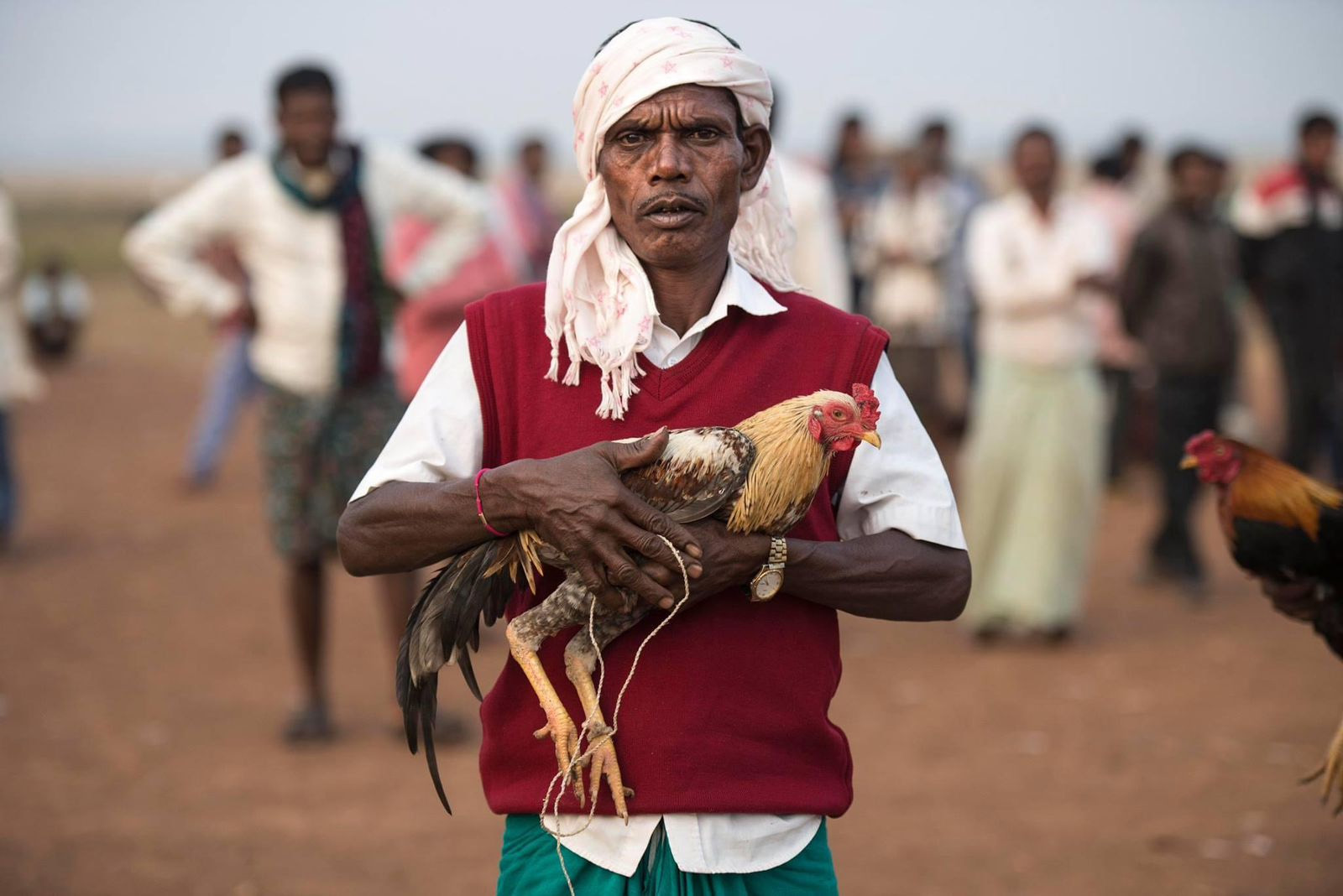 odisha tribal market