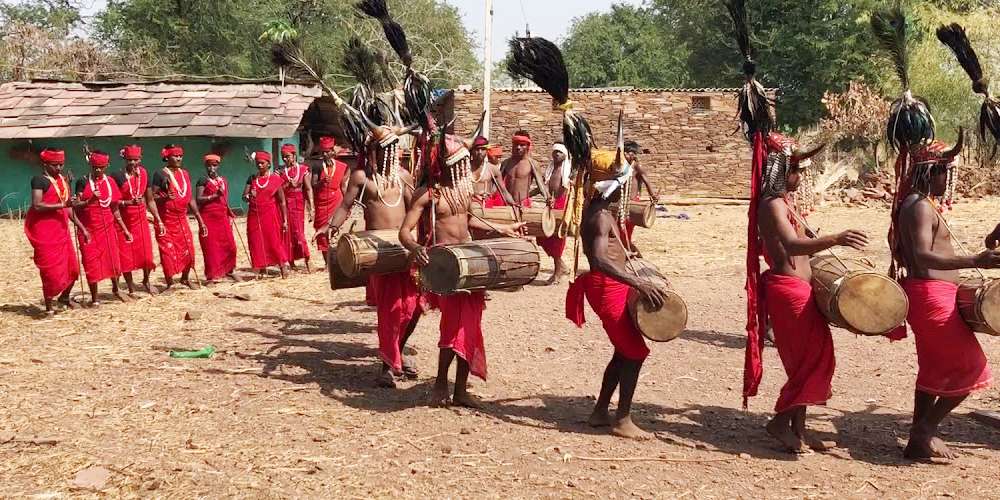 Experiencing the Bison Horn and Deer Muria Dances on an Odisha Tribal Tour