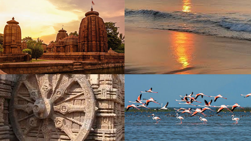 Unveiling-the-Hidden-Gem-of-India-A-Mesmerizing-Tour-in-Odisha's-Pristine-Landscapes
