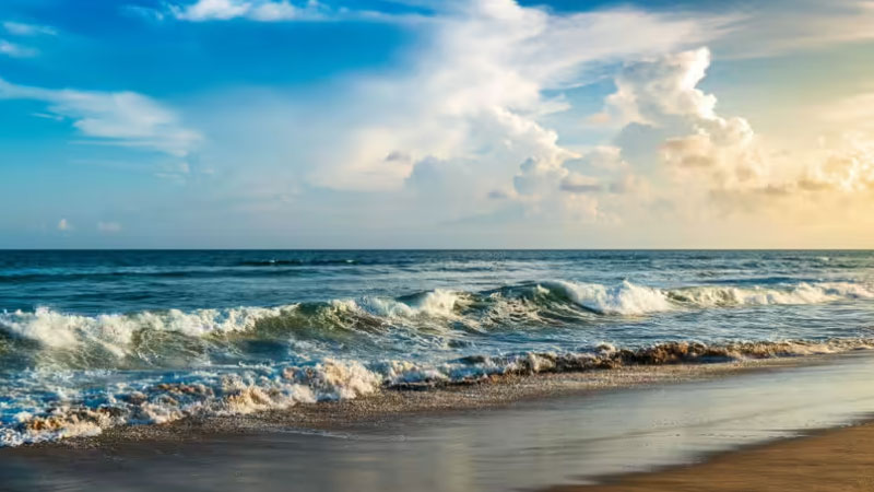 Best-Odisha-Tour-Packages-for-2026-Temples,-Beaches-and-Wildlife-Adventures