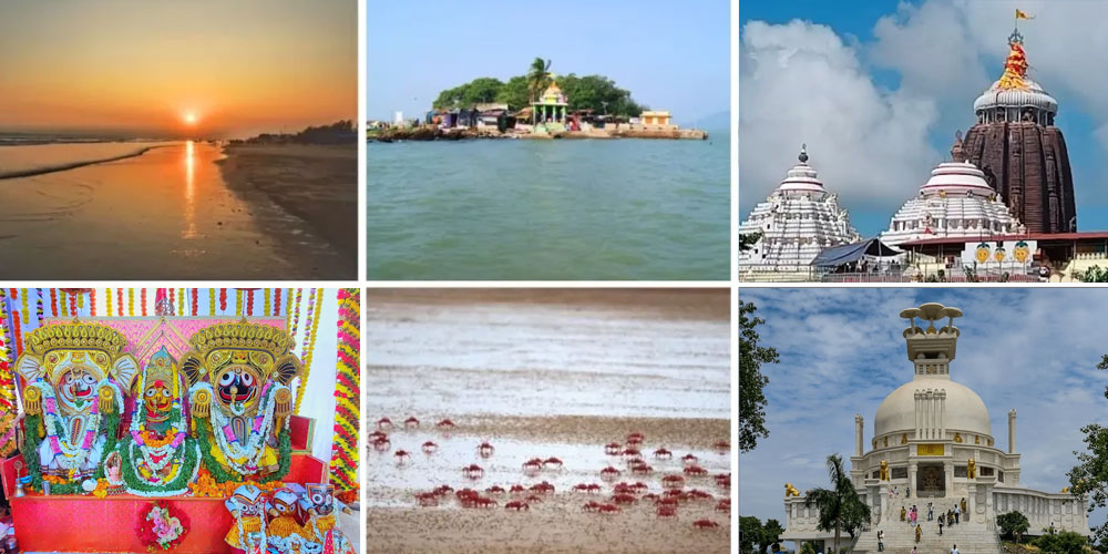Top Odisha Holiday Packages for 2026 Temples, Beaches & Wildlife Getaways
