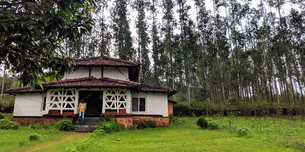 Eco Tourism in Odisha: A Complete Guide to Nature, Wildlife and Sustainable Travel